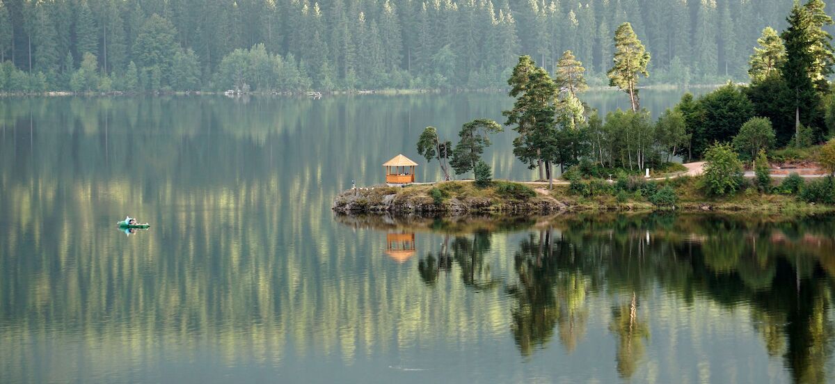 schluchsee_mood_natur.1200x0.jpeg